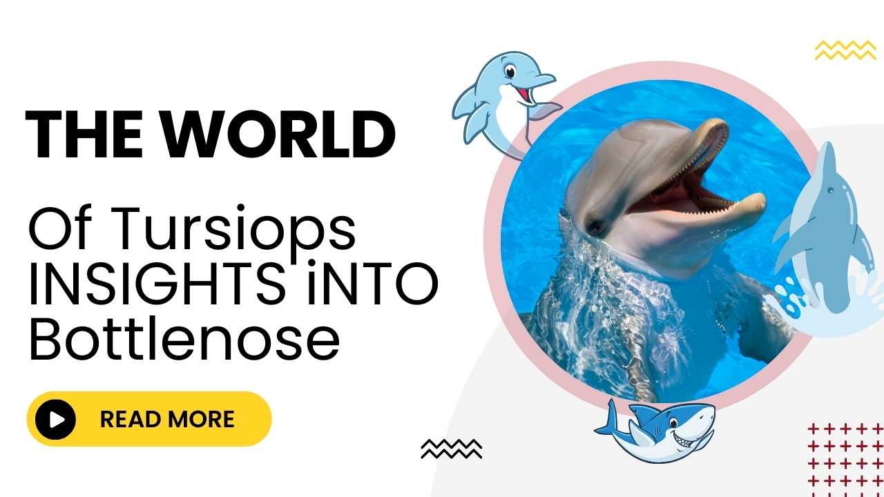 Discovering the World of Tursiops: Insights into Bottlenose Dolphins